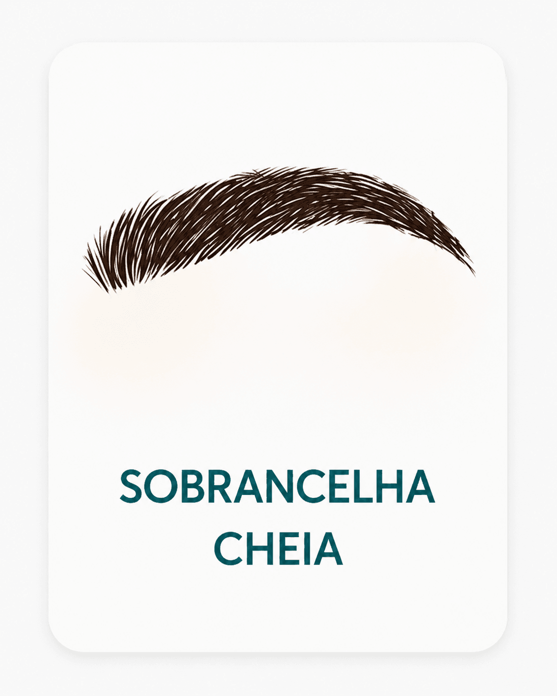 Sobrancelha tipo 1 - Queda leve